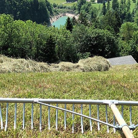 Haus Hagspiel Villa Hittisau Dış mekan fotoğraf