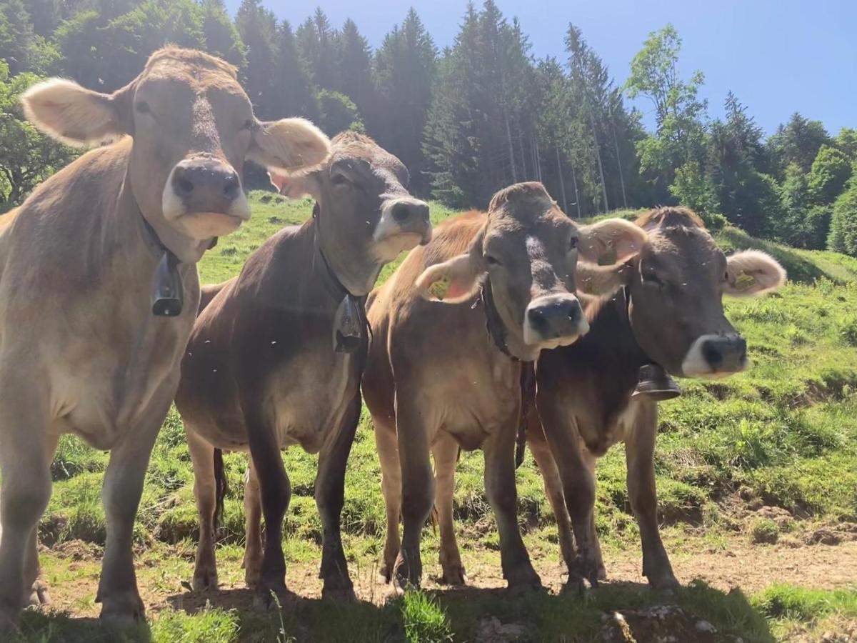 Haus Hagspiel Villa Hittisau Dış mekan fotoğraf