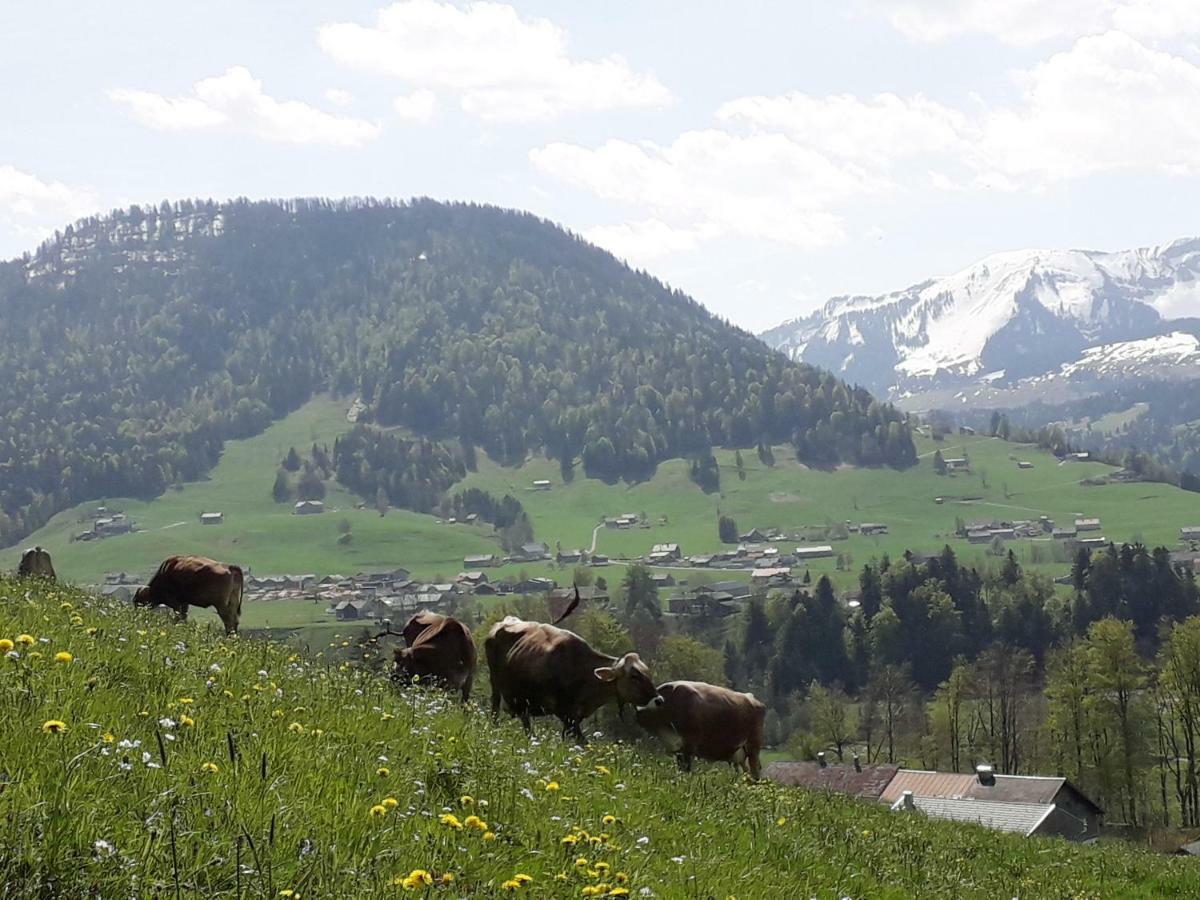 Haus Hagspiel Villa Hittisau Dış mekan fotoğraf