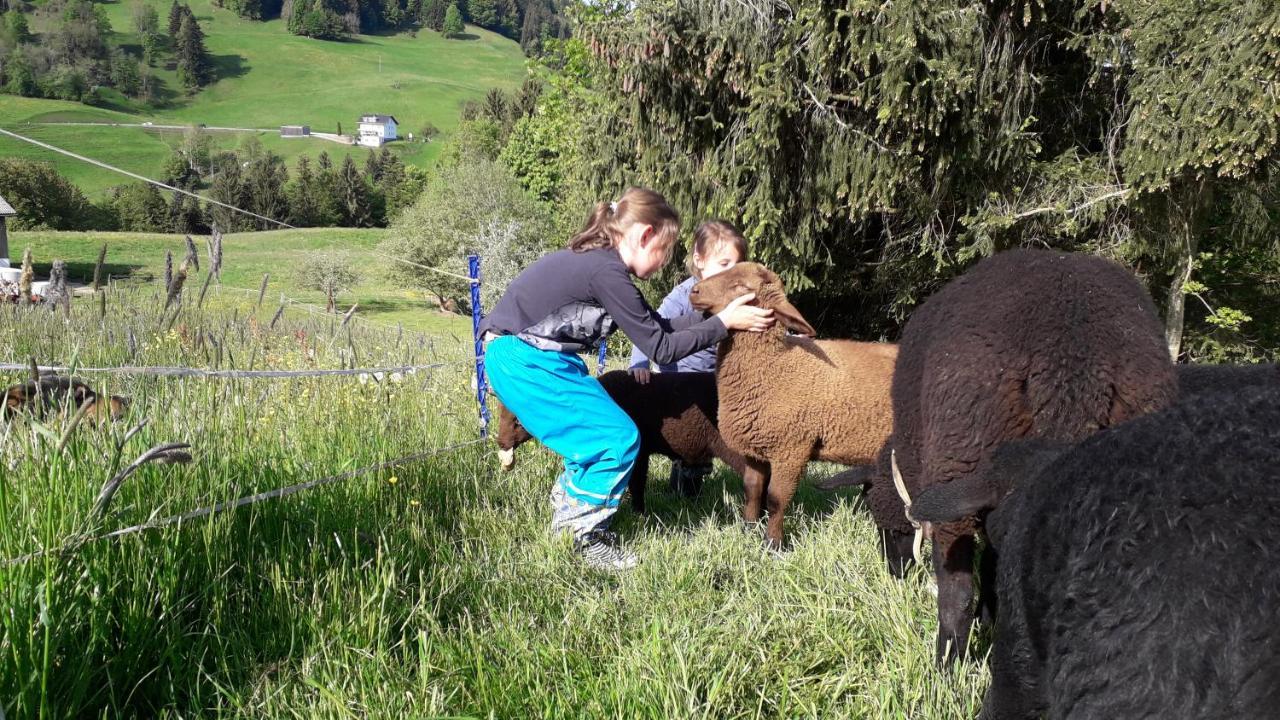 Haus Hagspiel Villa Hittisau Dış mekan fotoğraf