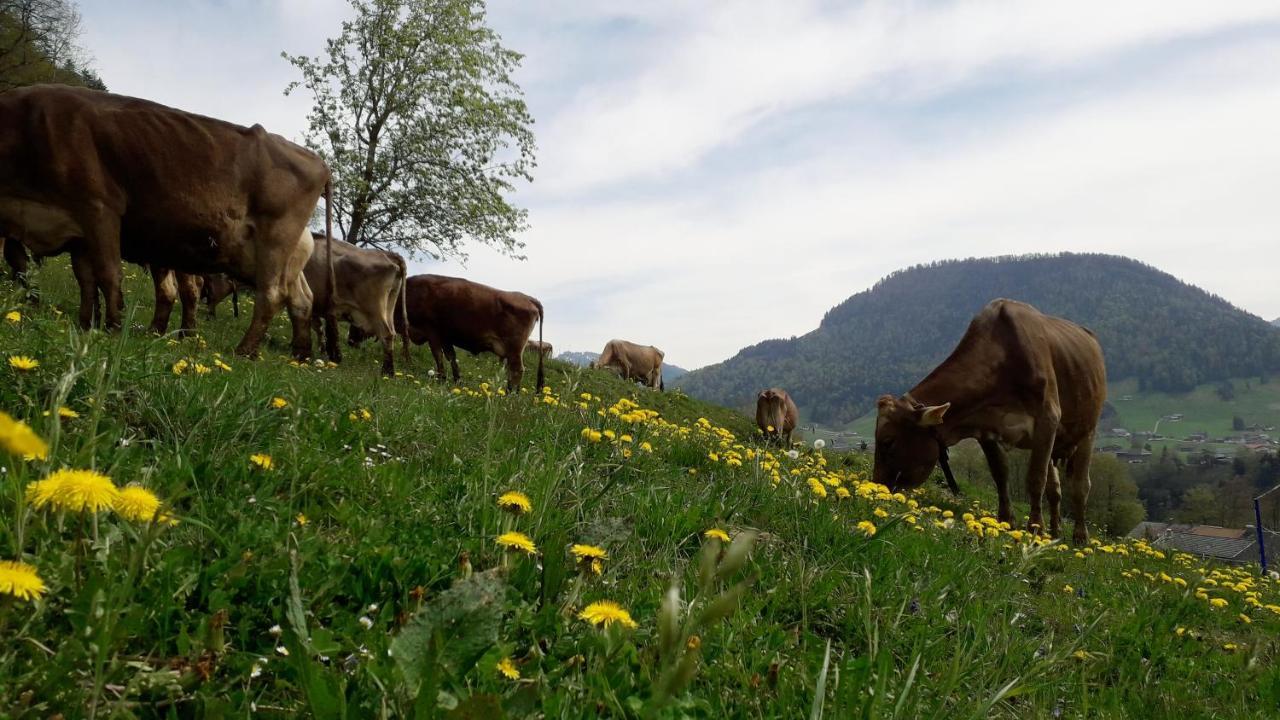 Haus Hagspiel Villa Hittisau Dış mekan fotoğraf